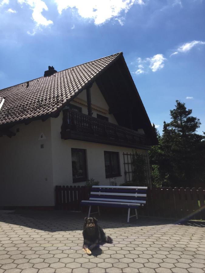 Ferienwohnung Elsner Neunburg vorm Wald Zewnętrze zdjęcie